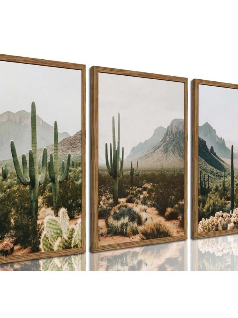 Framed Desert Landscape Wall Art Set of 3, Vintage Southwestern Cactus Wall